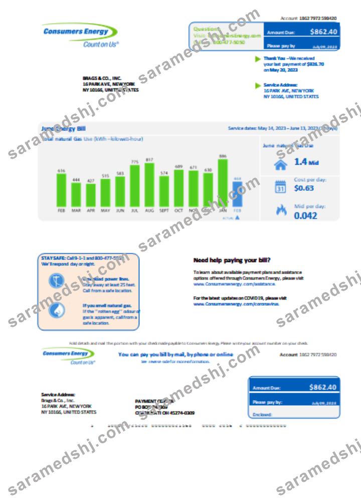 Michigan Consumers Energy  business utility bill, Word and PDF template SCR